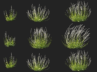 现代山桃草千鸟花白色花卉组合 白桃花白蝶花草花卉组合 花草花卉植物灌木