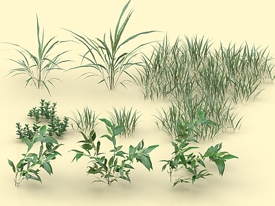 花草 草坪 小草 草地 草本植物 蕨类植物 灌木坪草 景天 玉簪 麦冬