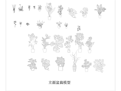 景观图库 车 植物平立面 施工图 工装综合图库 工装图库