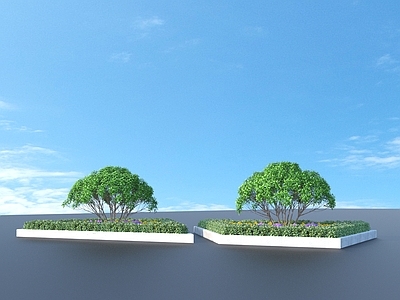 花坛 公园 灌木丛 树