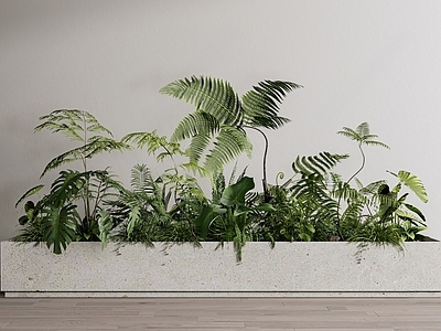 现代绿植花箱 植物组合 绿植盆栽 景观小品
