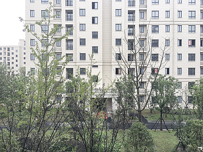 窗外小区