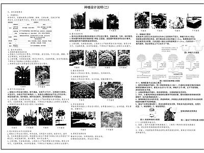 园林景观设计说明图库 施工图