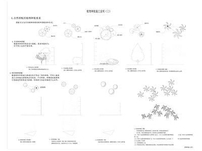 植物种植施工说明 施工图