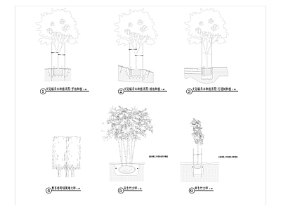 园林景观种植大样图 施工图