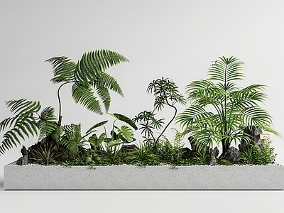 现代绿植花箱 植物堆 植物组合 植物 小品 花草