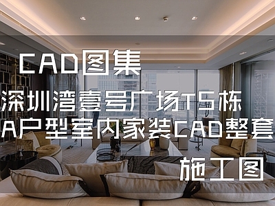 现代中式深圳湾壹号广场A户型样板房室内家装 施工图 平层