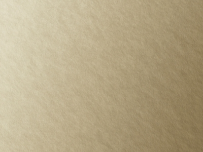 香槟金金属板