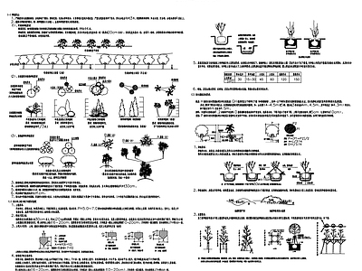 植物施工说明 施工图