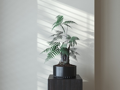 新中式盆景