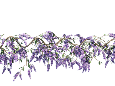png免抠紫藤花