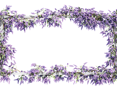 png免抠紫藤花