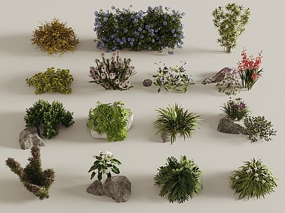 花草组合