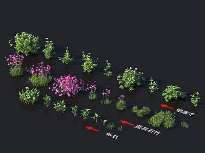 银莲花 蓝灰石竹 铃兰 植物类 花草系列