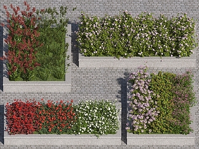 花草组合