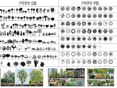 植物素材 乔木灌木钵镜素材 施工图