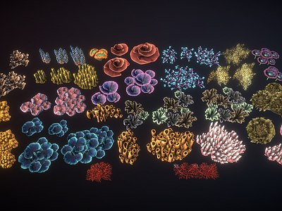 海底植物 珊瑚组合 海底珊瑚