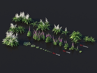龙舌百合 毛地黄 欧洲堇 植物类 花草系列