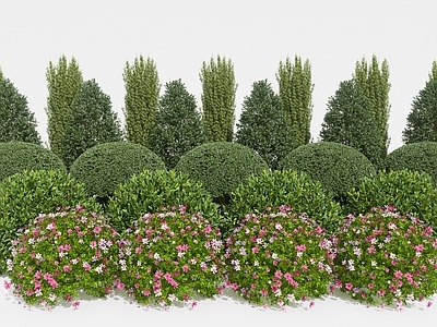 灌木球灌木树绿植组合 人工修建绿化带花坛草丛 绿 院墙