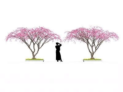 桃花树 樱花树 灌木 新中式