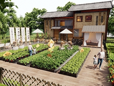 新中式乡村庭院 农家院落 乡村菜园菜地 蔬菜果蔬 户外桌椅 民宿建筑
