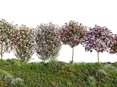 花草组合