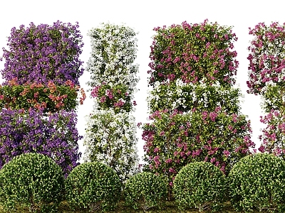 花草组合