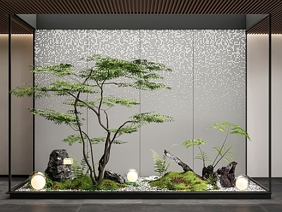 现代室内景观造景 庭院小品 植物组合 石头 鹅卵石 植物堆 枯山水