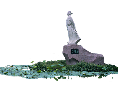 png免抠荷花
