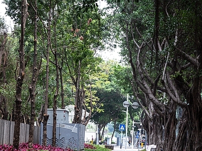 城市街道外景