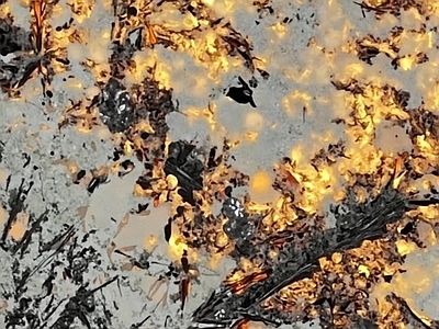 奢石金孔雀