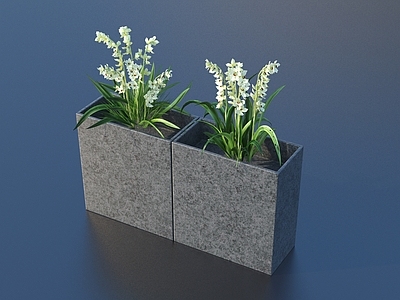 现代花箱 户外植物花箱 花草 植物