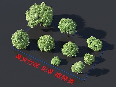 黄夹竹桃 花草 植物类