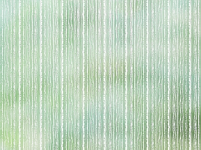 植物艺术肌理 树皮肌理变形 自然元素