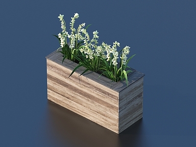 现代花箱