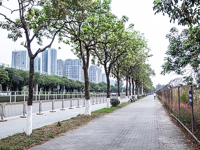 白天城市街道外景