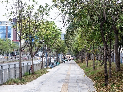 白天城市街道外景