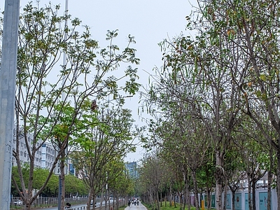白天城市街道外景
