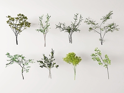 绿植组合 植物 盆景