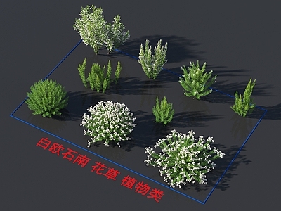花草组合