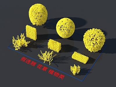 假连翘 花草 植物类