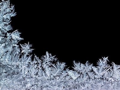 凝结的雪花  自然元素