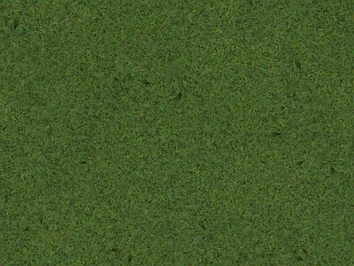 无缝草坪植物墙