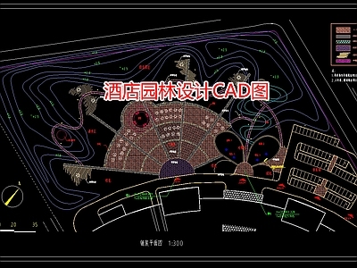 酒店园林设计图 施工图