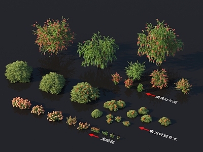 龙船花 美花红千层 索发针班克木 花草系列