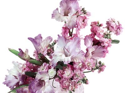 png免抠黄菖蒲 花