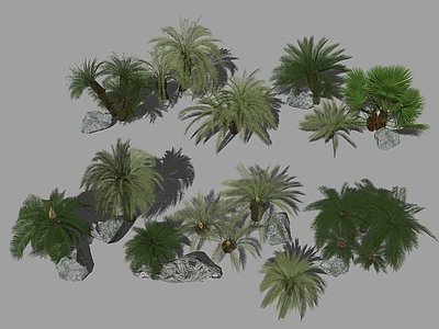 棕榈植物 热带 椰子树 棕榈树 散尾葵 散尾葵