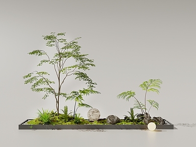 现代庭院小品 植物组合 石头 植物堆 景观树