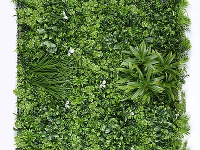 植物灌木绿植墙