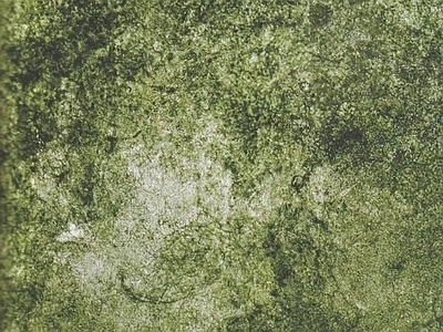 草地草坪水彩风格 自然元素